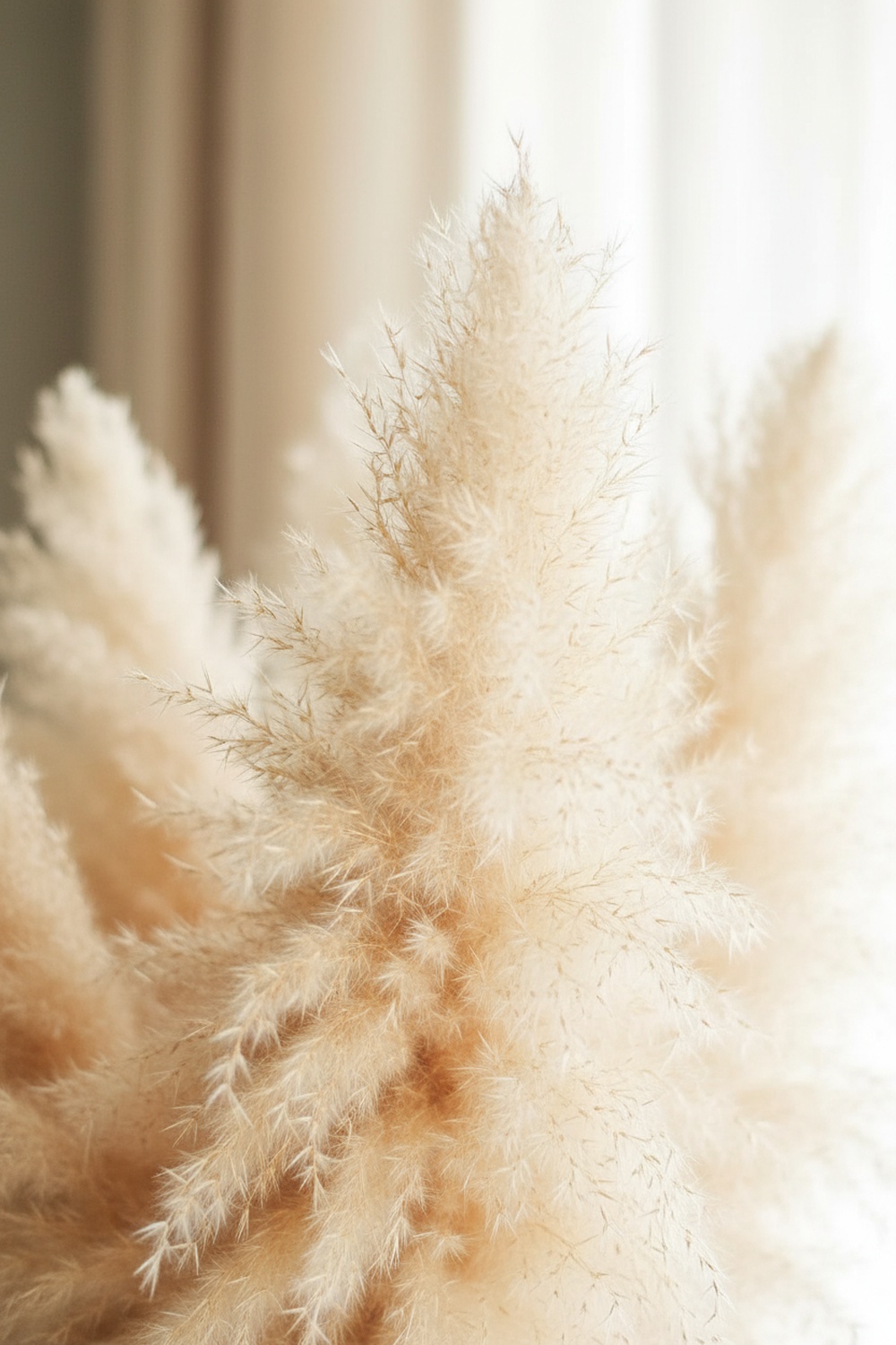 Natural Pampas Grass 40 Inch, 10 Stems - Detail Shot